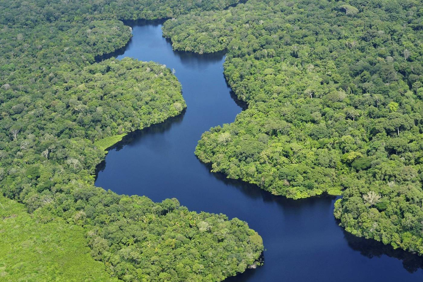 Amazonie - Brésil