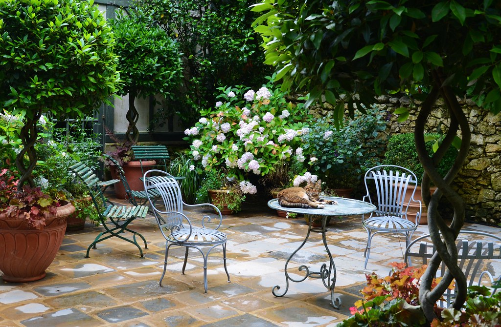 Jardin d'agapanthe