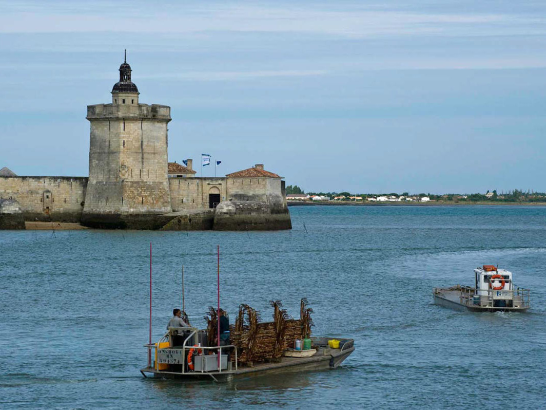 Fort Louvois bateau
