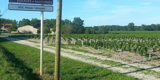 Route des vins de Bordeaux