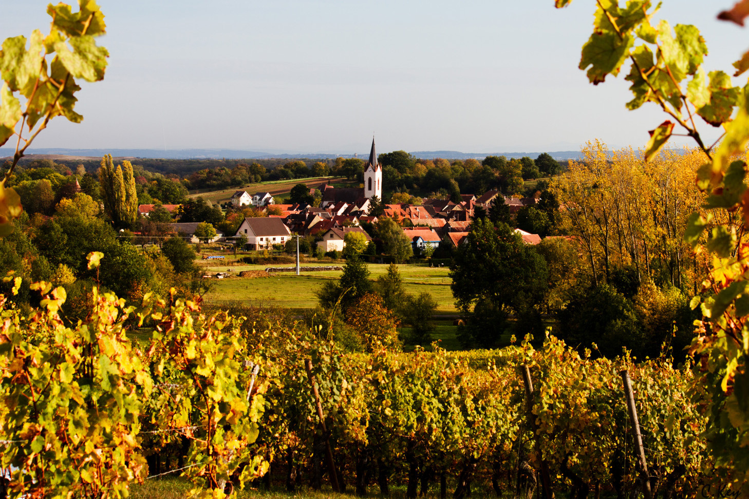 Routes des Vins d'Alsace